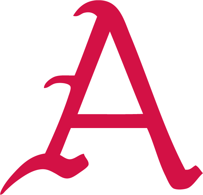 Arkansas Razorbacks 0-Pres Alternate Logo diy iron on heat transfer